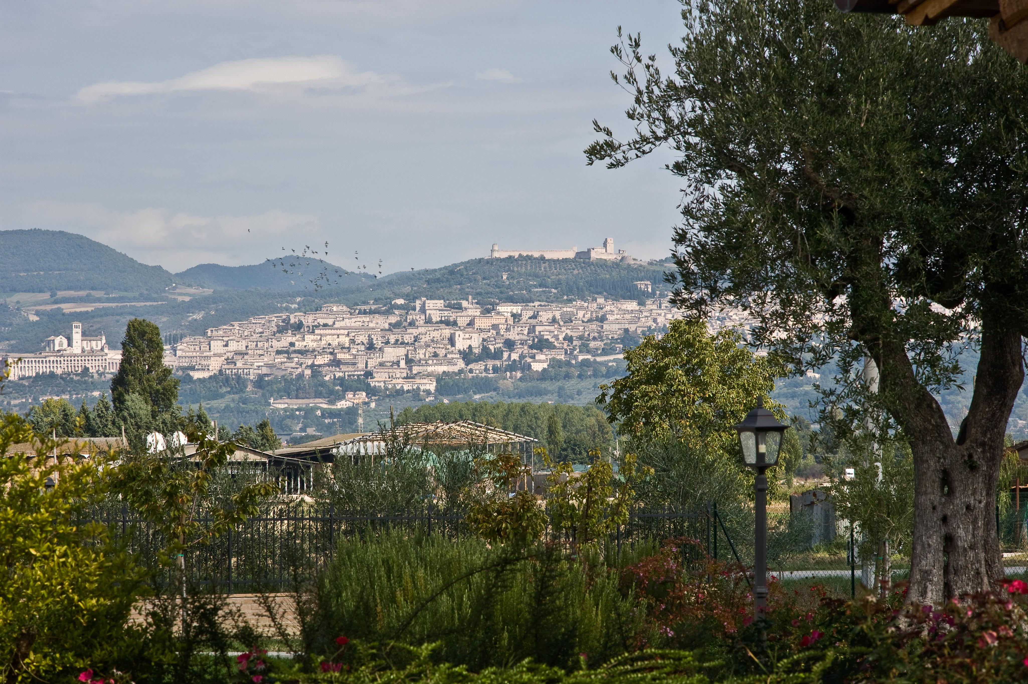 Agriturismo Le Rondini Di Francesco Di Assisi Cannara ภายนอก รูปภาพ