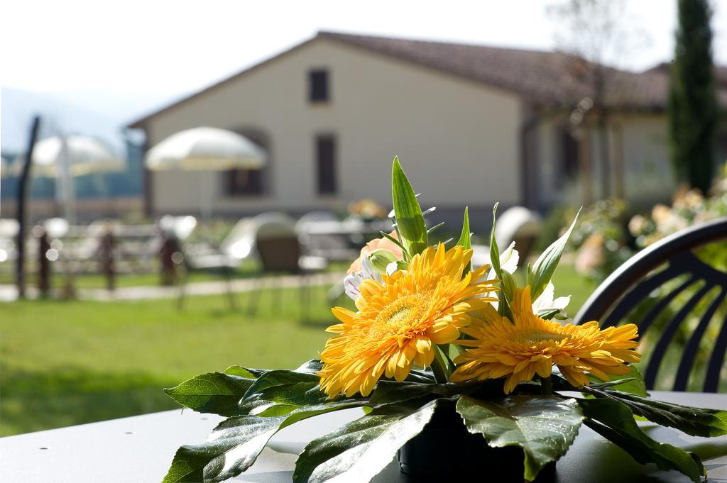 Agriturismo Le Rondini Di Francesco Di Assisi Cannara ภายนอก รูปภาพ